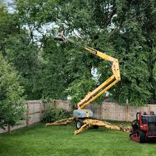 Best Grass Overseeding  in Chatmoss, VA