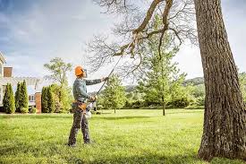 Best Utility Line Clearance  in Chatmoss, VA