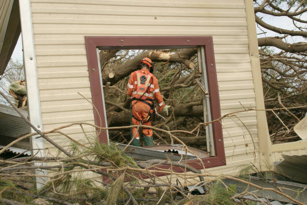 Best Tree Trimming and Pruning  in Chatmoss, VA